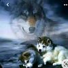 jessicabermudez395