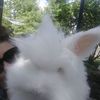 hunnybunnymama