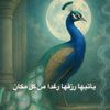 kamy.prof.fr