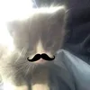 _tthaoz06