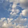 dy78pjxtf27h