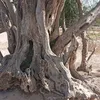 mohamed.benhaddou6