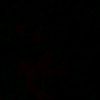 ahmad.hadi2233