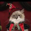 wizardkitten1