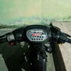 roye506