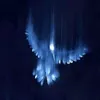 alladin_44444