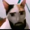 vomito_di_cammello