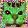 jadekoo52