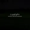 z.mohammed.a