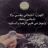 313_rr313_