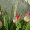 nuygn.4