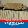 tizianotizianoruffoni