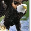 abdur_rehman6881