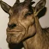 el_jos347