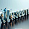 waseemahmad8991