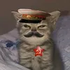 tihonpetkau
