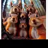 squirrelpip