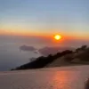 poppy_rossiter