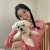.kpop.housexyz