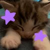 miwmiwpipopipo