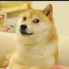 randomdude1578