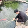 ng.tyan.anh