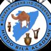 hiddo_bila.academy