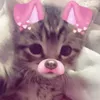 _cat_l0v3r__