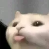 ysobell69