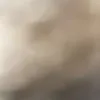 ._leleleleleleleel