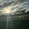 anabeaut