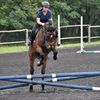 local_equestrian