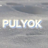 pulyok8