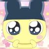 kanemotokitty