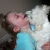 bbpriv7