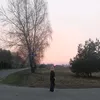 alicjqmxc