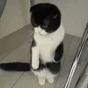 ещкере🤙😈