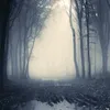 truexcrimexedits