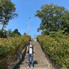 lcd.biendong