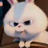 _.qynhnhw._