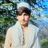 mashalkhan112225