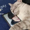 0jkta
