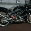 single_fighter233