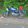 syahrir8198