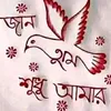 ratonkhan323