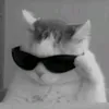 catcool126