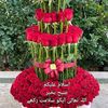 dr.sareem659