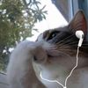 u_ukitty2