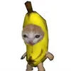 giupppug