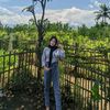 dlli_07